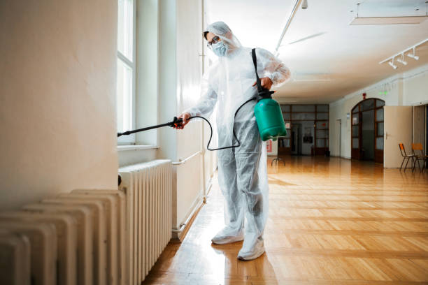Best Affordable Pest Control Services  in South Burlington, VT